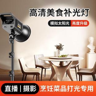 Rechargeable Live Broadcast Fill Light Anchor Beauty Cob Film and Television Light Outdoor Handheld Photography Light Night Shooting Light