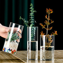 直筒高硼硅玻璃花瓶绿萝水植玻璃花瓶插花器水培景观花盆鱼缸瓶