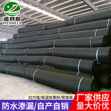 定制涤纶化纤材料黑色拉力毡土工布黑毛毡大棚覆盖黑毡耐用无纺