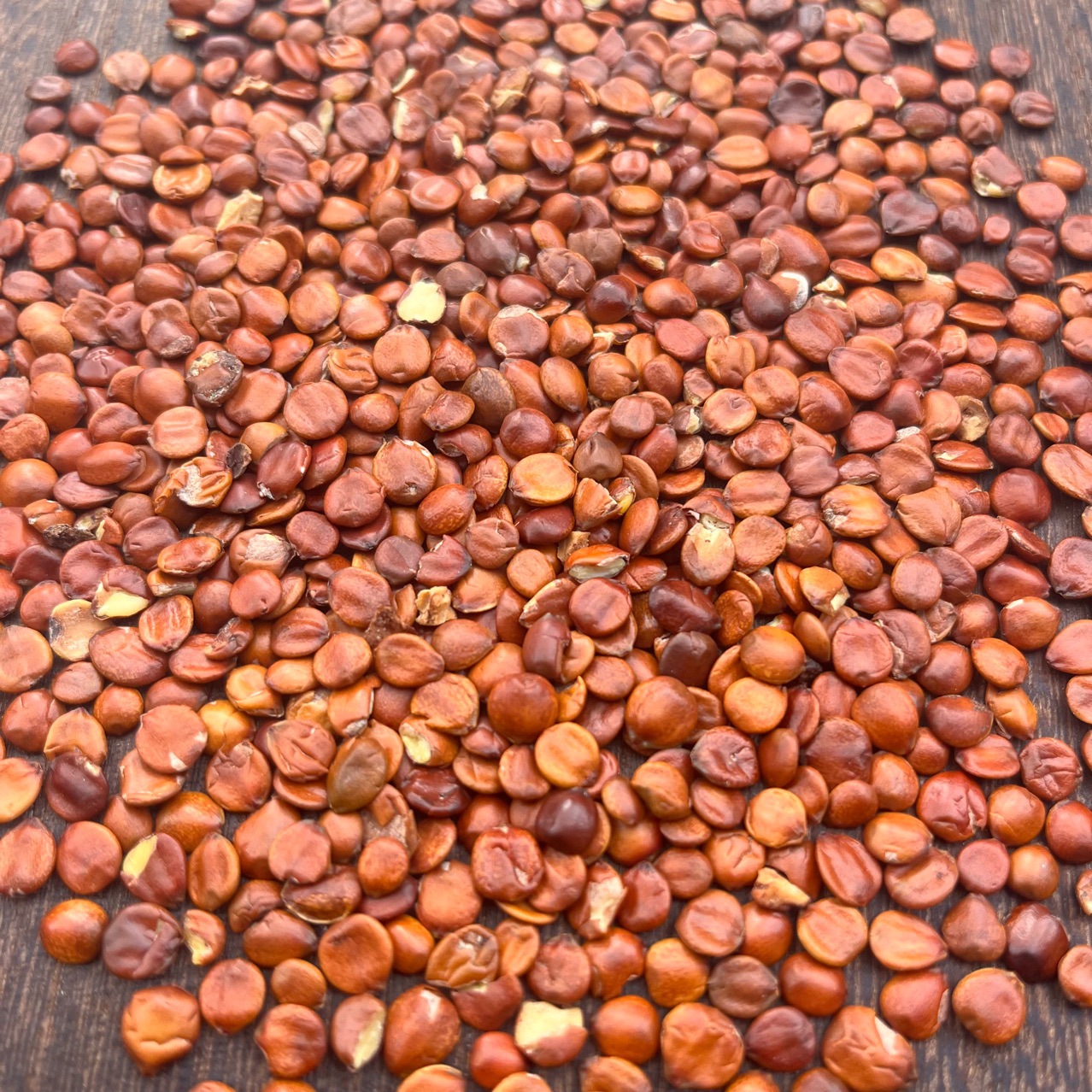 理枣仁批发进口理枣仁挑选颗粒饱满酸枣仁茶泡水喝源头厂家