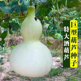 ���ͺ��J�N�ӳ�����J���ش�̖���J�N�с������J�����^�pͥԺ����
