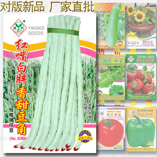 �t��������𶹽ǷN�� �s60�� �̴��i���i�ж�����w�S�������N��