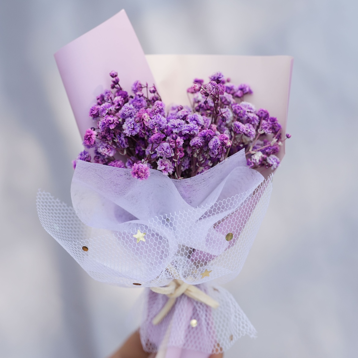 퍼플 스타 미니