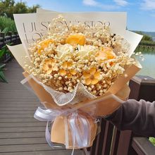 õ��ɻ������������նY�����|�۱������ѽ̎������ώ����u�羳