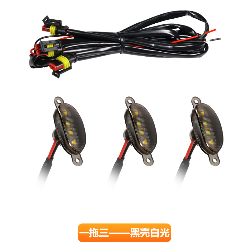 검은 껍질과 흰색 빛이 3개씩 1개