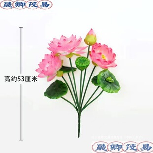 ����ɻ� �^����ɏ�������~���b��ٻ��������Ք[�Ų廨֧