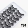 Y64