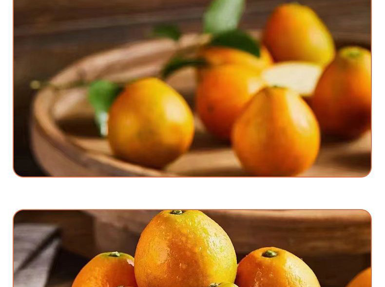 O1CN019Sb86E1DPJBJKRtlG_!!2215