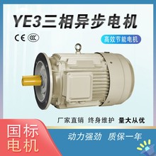 豫东供应YE3纯铜 0.55/1.1/3/4KW三相异步交流电动机380V立式电机