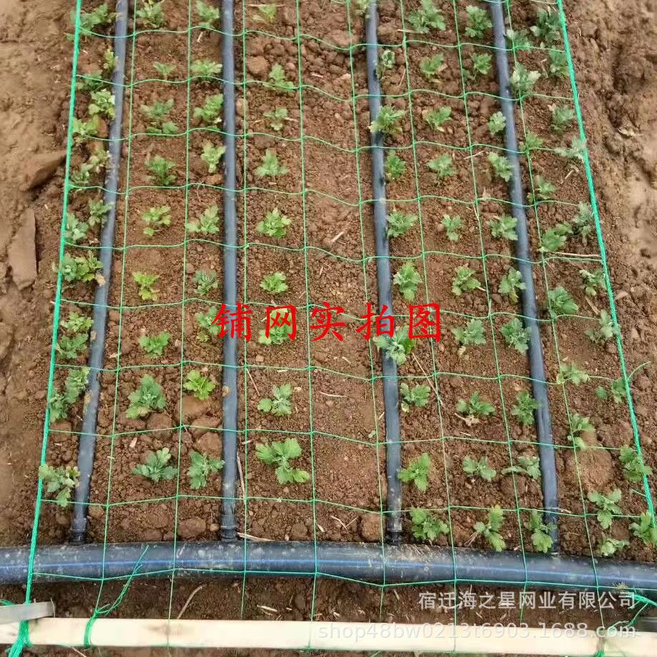 f3ef72cc19103f8c145b95e70841aa