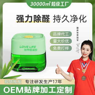 Formaldehyde Remover Removes Formaldehyde Magic Box for New House, Car Interior, Mother and Baby Emergency Living Furniture, Quick Deodorization Artifact