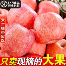 延安洛川蘋果產地直銷陝西紅富士蘋果水果正宗特一級精品新鮮應季