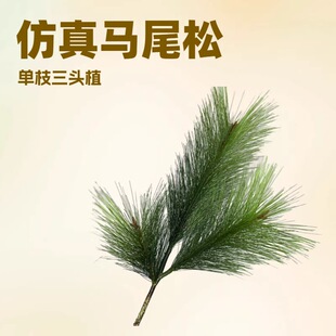 PVC�����Rβ�� ��֦3�^��ֲ �҃��쾰�߶˻��� ����ܛ�b �F؛���l