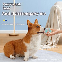 �³�����������˽��ƶ��������������Զ�����������綯�������
