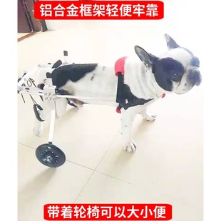 ��׵��֫��@Ȯ܇�c���܂��o������݆�ι����p��̩�����ߚ�������