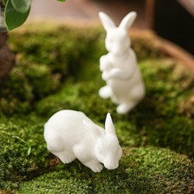 �茙�[����Ʒ�»��״��ò��湦���߲������k���bɐ���Ф��