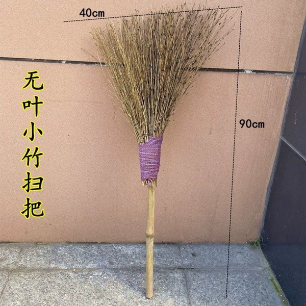 [无叶小竹扫把（高90厘米）]