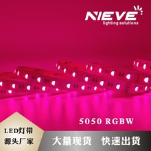 智能RGBW5050七彩灯带低压24V灯带家居WIFI调光调色光源灯条