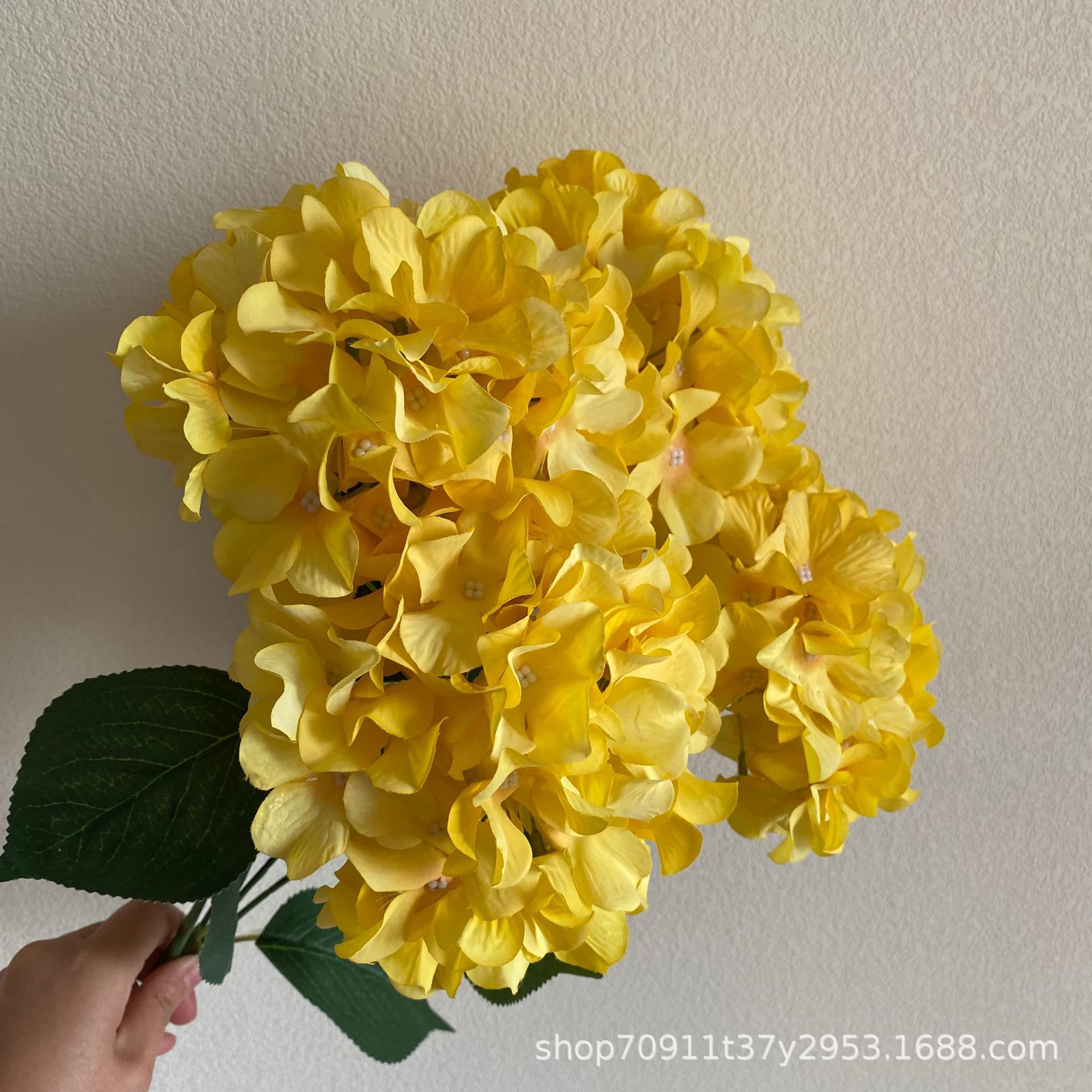 5송이 수국 노란색