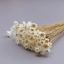�ɻ������ǻ��r�ջ���ɫ�ɾջ������㻨�ļҾ߶YƷ�b�diy����