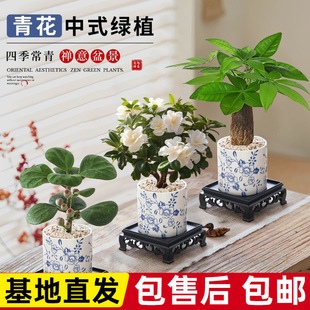 �����҃ȿ͏d��ʽ�U������ֲ��[���k���ҾGֲ�lؔ����B��