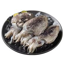 墨鱼野生海捕鲜冻大号墨鱼新鲜超大目鱼墨斗鱼大乌贼群木冷冻海参