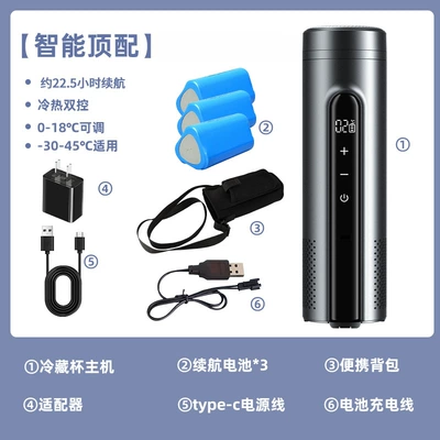Taken on the Plane, Keeps – Soyuducular - titanium-silver-gray-smart-top-model-3-battery-sets-travel-bag