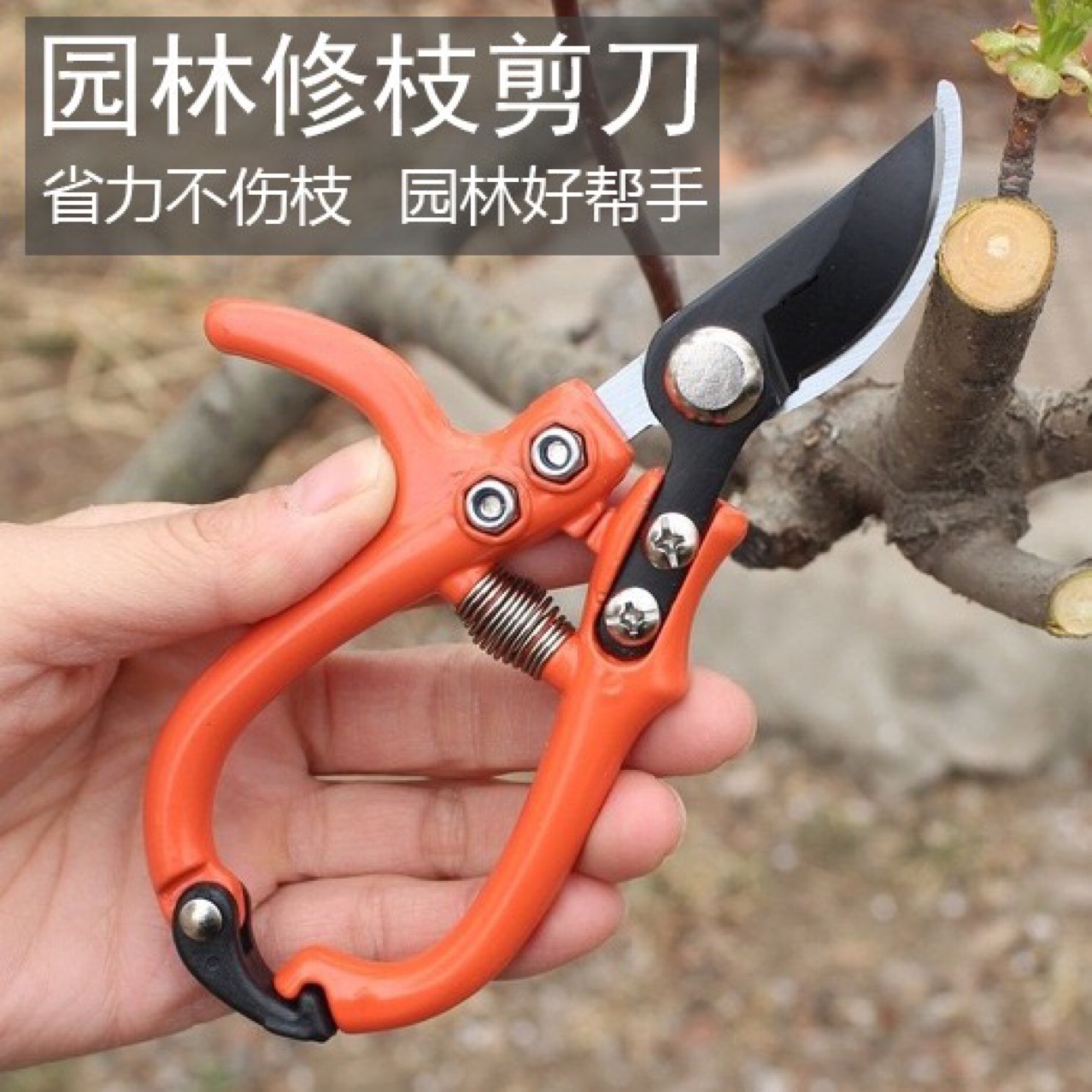 修枝剪子葡萄摘果剪 园林果树剪刀粗枝花剪 省力树枝修花园艺剪刀
