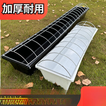 �¿�ι���Zʳ���ˮ�������ϲ��L���θ߉�ţ�����ϼ����Bֳιˮ��