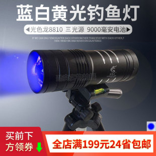 Light color dragon GSL8810 blue and white fishing lamp send bracket bait lamp double light dimmable waterproof night fishing lamp GBT