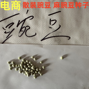 ���ɢ�b�㶹�N�����㶹�N���㶹��NС���b���b�Ѵ��＾�̨����