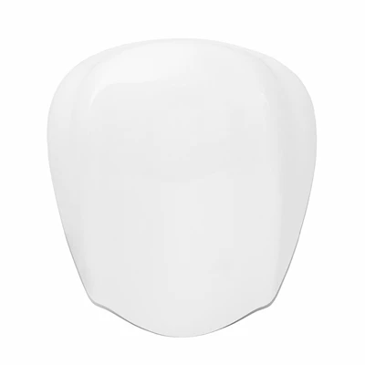08-20 modified motorcycle rear — Motorcycle cushion