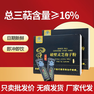 �`֥���ӷ۶Y���b�ЙC�`֥���ӷ۳��`֥ ���ֶY�F؛�������l�� ��