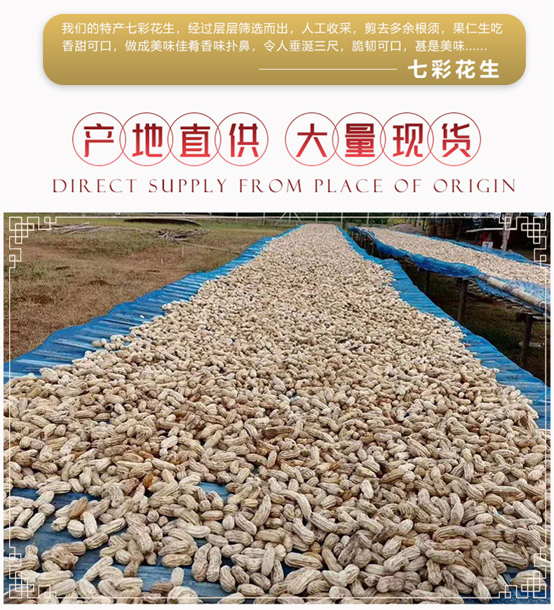 七彩花生详情_09.jpg
