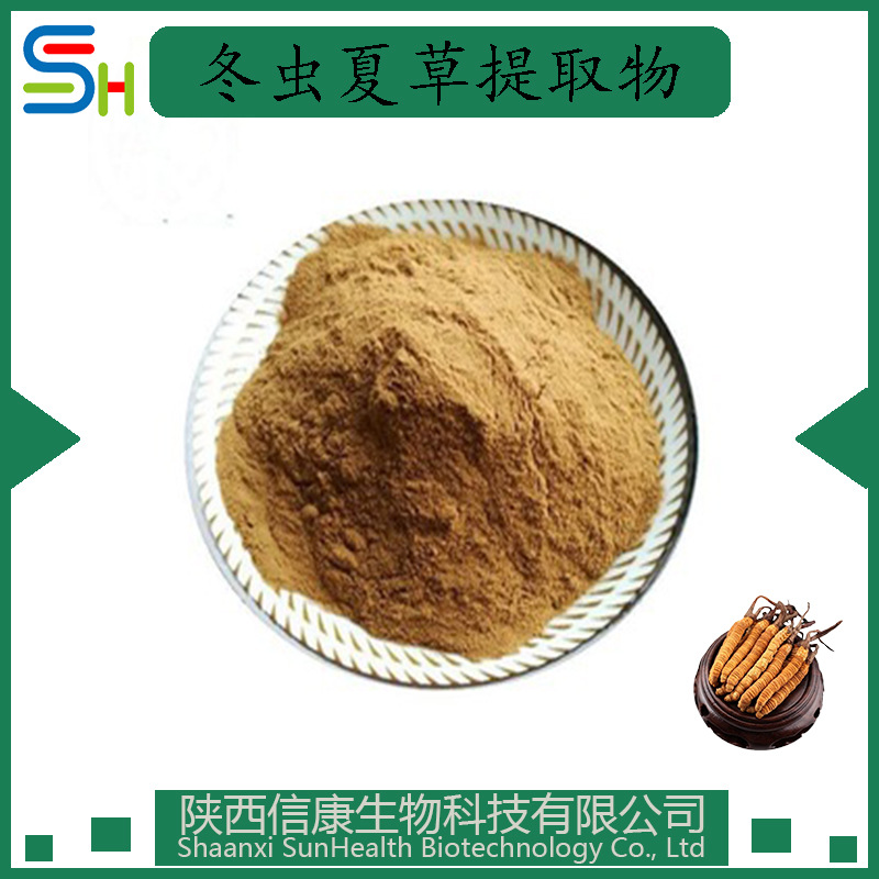 冬虫夏草(CORDYCEPS SINENSIS)提取物10:1 信康生物 供应
