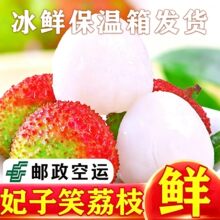 广西妃子笑荔枝5斤水果整箱包邮王白糖冷冻桂婴荔枝2026应季荔枝