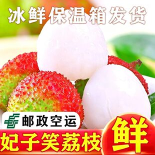 �V������Ц��֦5��ˮ��������]���������������֦2026������֦