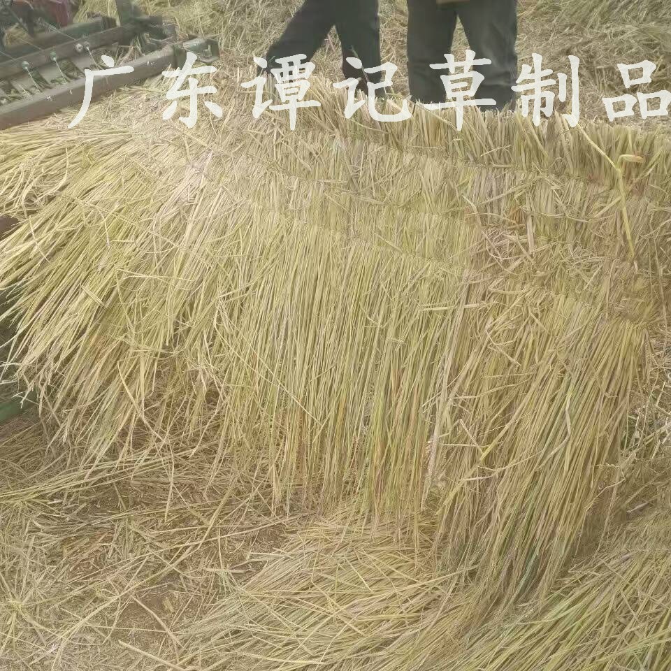 天津四川重庆批发出售稻草节装饰摆景布置稻草卷草人草垛草席草帘