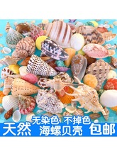 ���]��Ȼ����ؐ��ɺ����̨�~���쾰�bľ�з�ֹ�Ư��ƿ���b