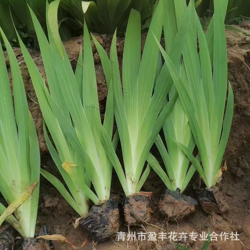 微信图片_20241223104007