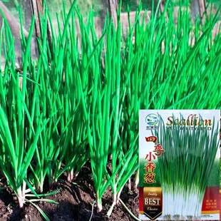 С���[�N��С�[����N����N��ԭ�b�ļ��߲˷N�Ӵ�ȫ�˷N�����l