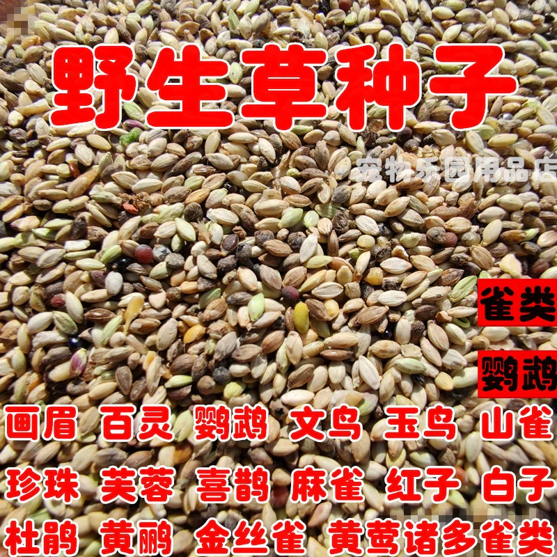 Корм для птиц водный скотный двор семена травы Гибискус Птица Попугай жемчуг птица/белок высокие 5 кг почтовые расходы