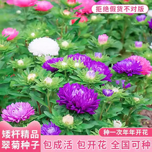 շNӴ󻨺BĻNͥԺ׻NļN⻨N