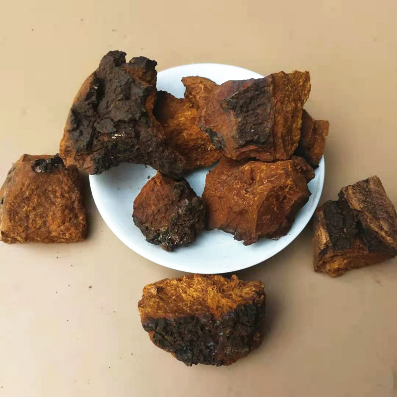 Chaga Mushroom Bulk Dried Sclerotia Huashurong Inonotus obliquus for Tea and Decoction 500g key features
