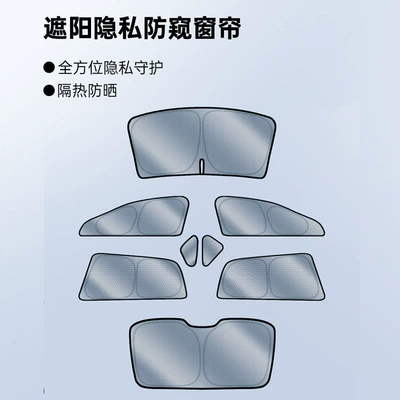 Rt Gs4 E9 Aion Sunshade – Car curtains