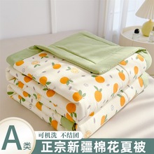 �ļ����{��С�����½��޻��ě�����ɫA����ᱡ���ӿ羳�ı����la