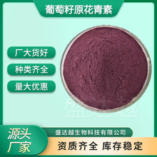 葡萄籽原花青素95%opc葡萄籽提取物食品级原料低聚葡萄籽原花青素