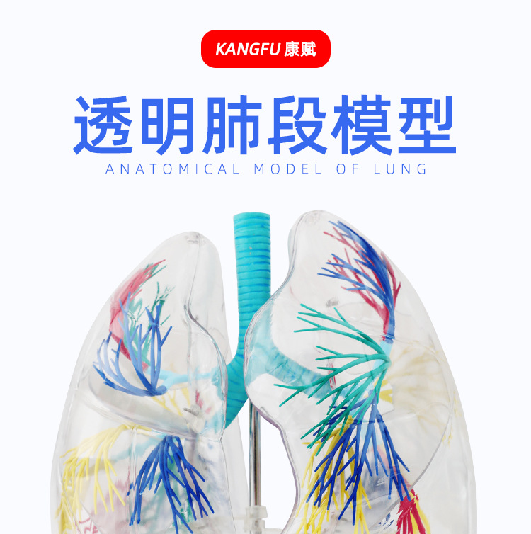 O1CN01hKqzFK2Kk6Xig7Wa3_!!3578