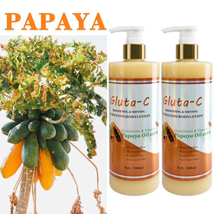 �羳���QӢ�ĹȰ���Cľ�������w��˪���w���̝�����S����C���w¶
