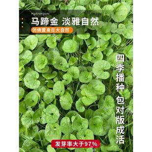 �²��R���ݷN�� �l ��ƺ�N�Ӳ��� �R���e�����X�� �~�X�ݷN��